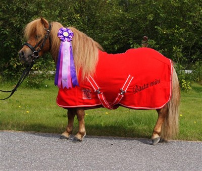 Bästa mini