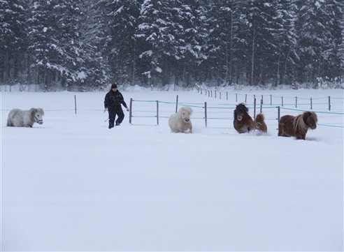 Gänget träffas